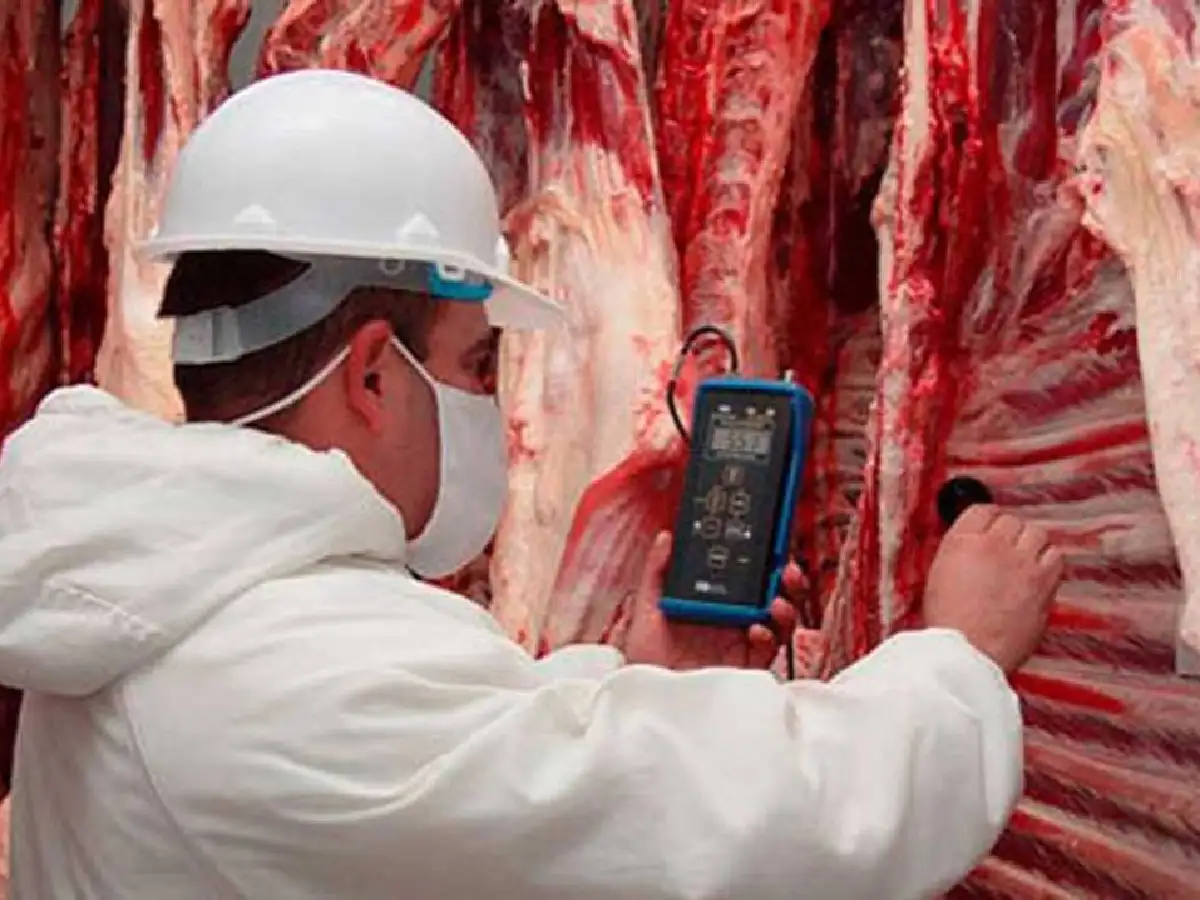 Tras una década, Argentina vuelve a exportar carne a Uruguay 