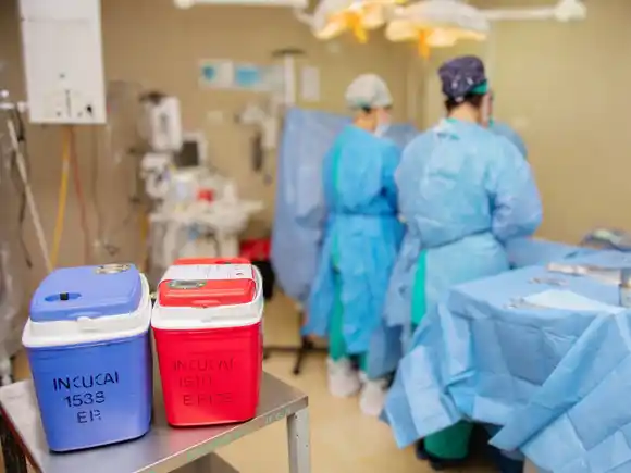 Se realizó un nuevo operativo de donación de órganos