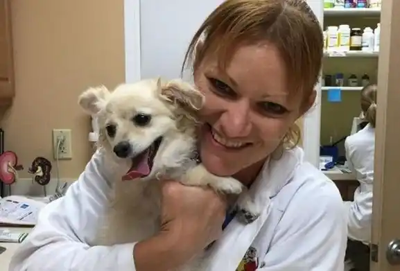 Una veterinaria fusiló al bulldog de su vecino porque ladraba
