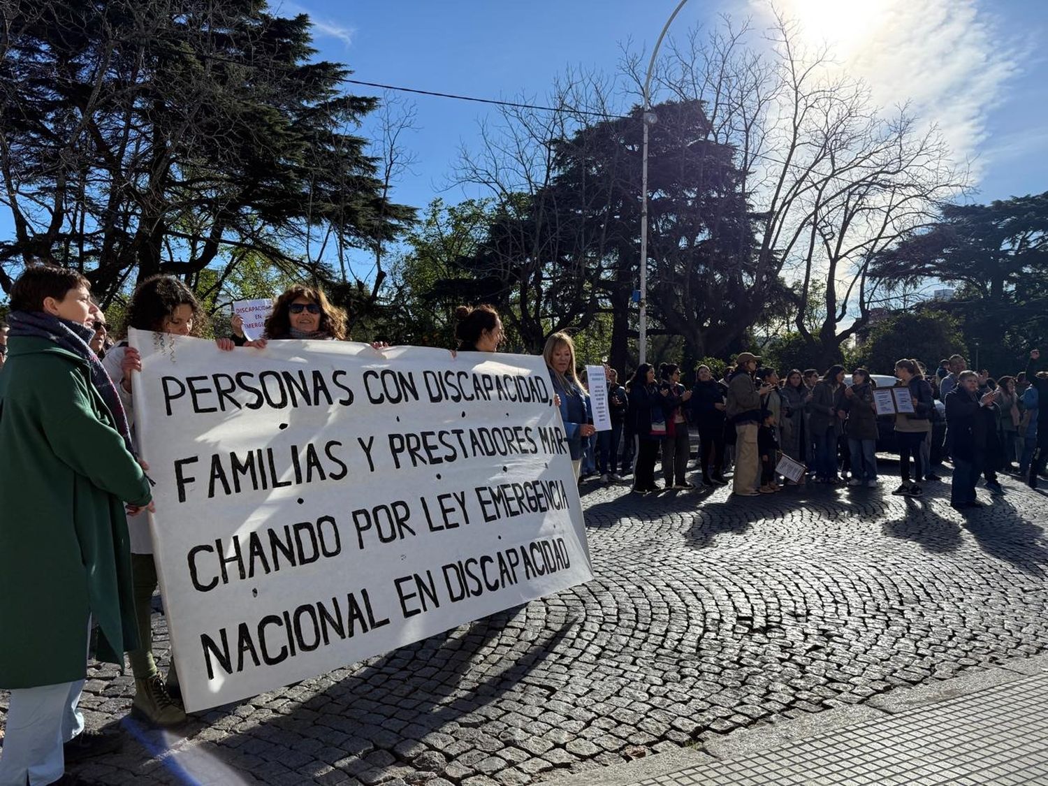 marcha discapacidad 29-05-25 - 4
