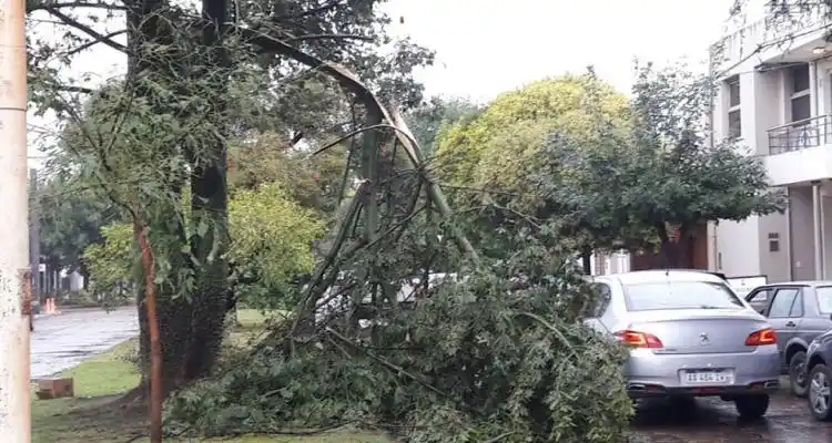 Rige alerta meteorológica por tormentas y vientos fuertes que se intensificarán este sábado