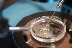 Ordenan cobertura de tratamiento de fertilidad asistida de alta complejidad a matrimonio de mujeres