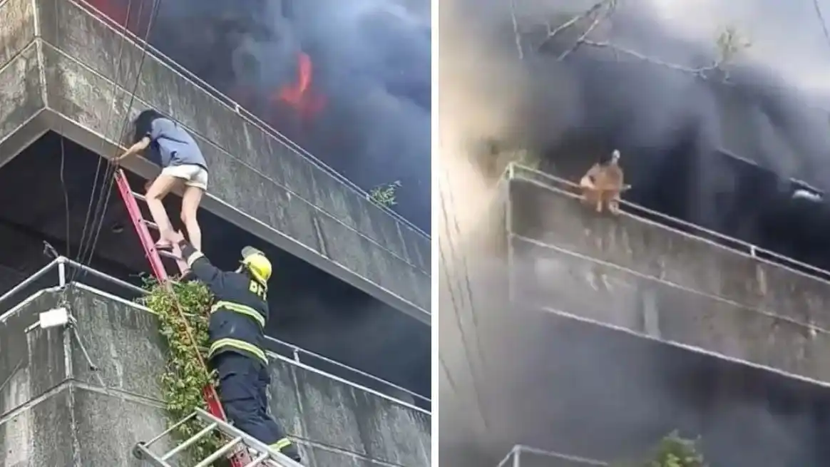 Una mujer lanzó a sus mascotas desde un balcón en pleno incendio.