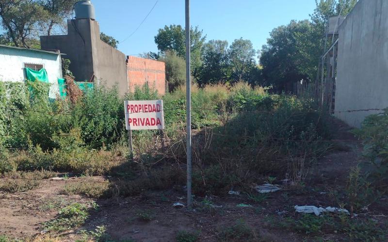 Castro: ¿podrán limpiar el terreno?