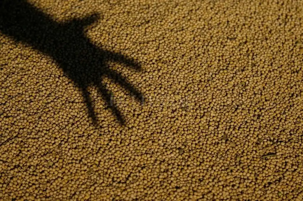 El campo en alerta por el insaciable apetito fiscal del gobierno nacional