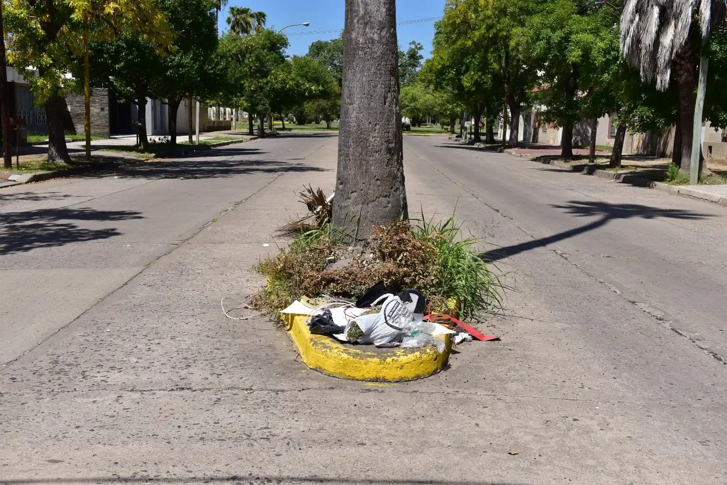 Minibasurales: una mala costumbre