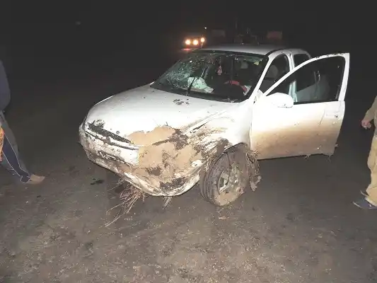 Fuerte accidente de tránsito con la intervención de un vacuno