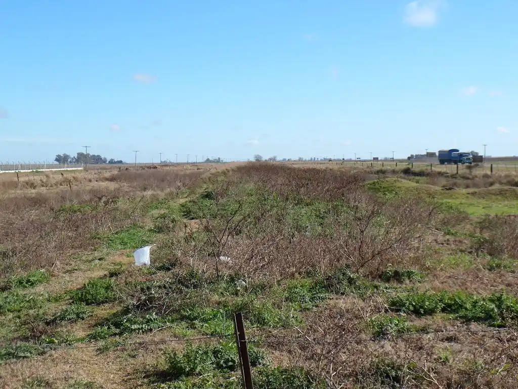 Falsificaron ventas de campos desde oficinas públicas