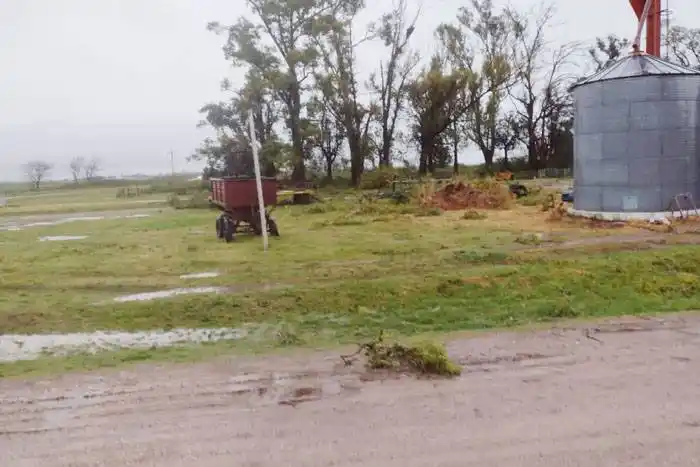 Maiceros entrerrianos celebran  porque donde cayó mansa, la lluvia colmó de humedad los suelos