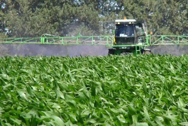 Totoras: exigen nueva ordenanza contra las fumigaciones