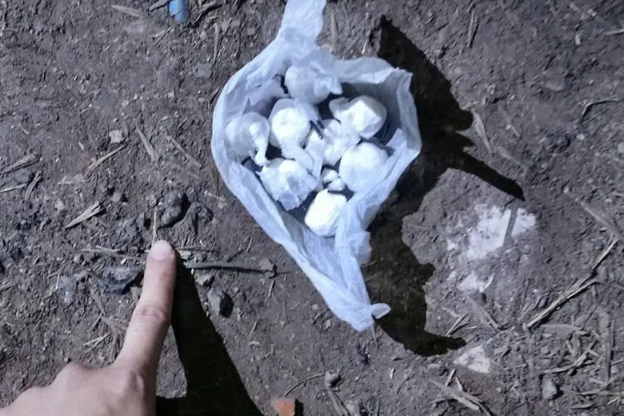 Drogas secuestradas.
