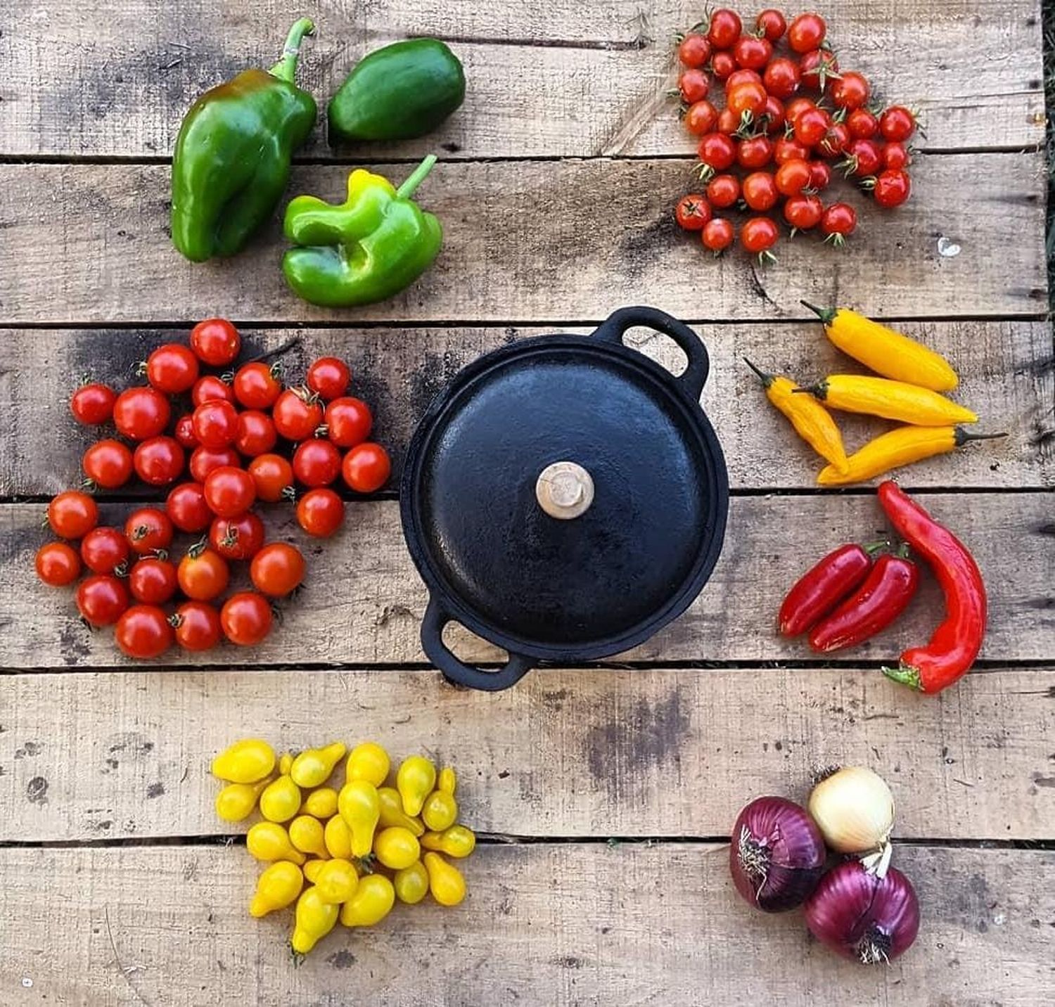 Vegetales recién cosechados de la huerta.