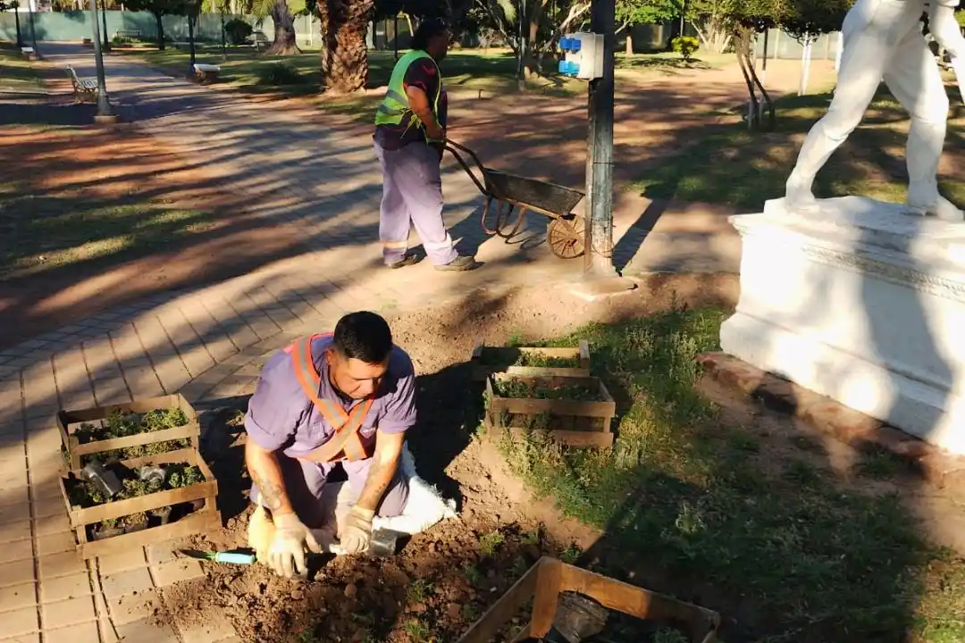 Un trabajador municipal en plena tarea de plantación