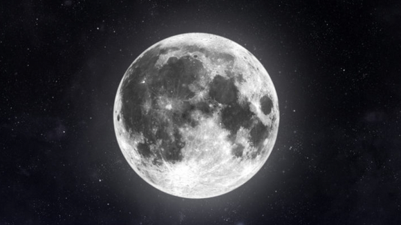 Una empresa australiana quiere cultivar plantas en la luna para 2025