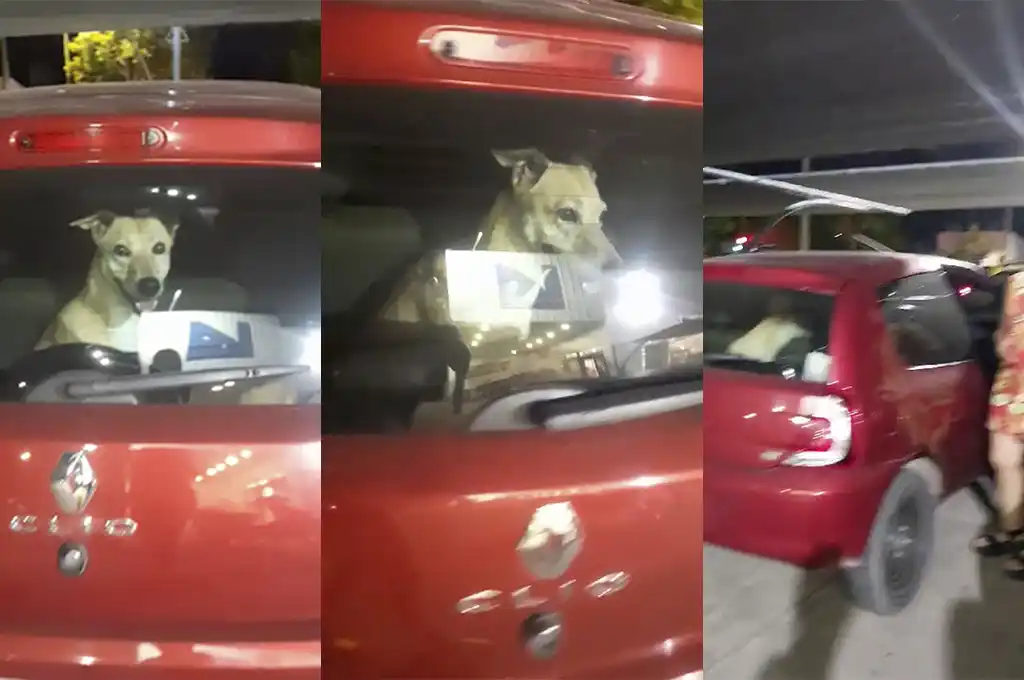 Una vecina capturó el momento y envió las imágenes a RADIO RAFAELA