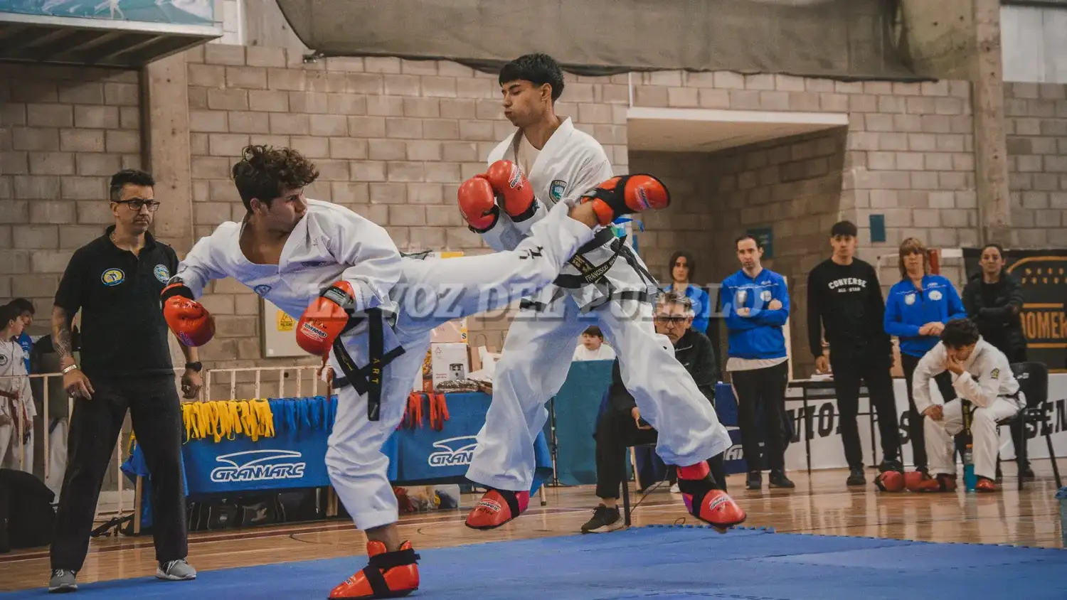 taekwondo polide - 5