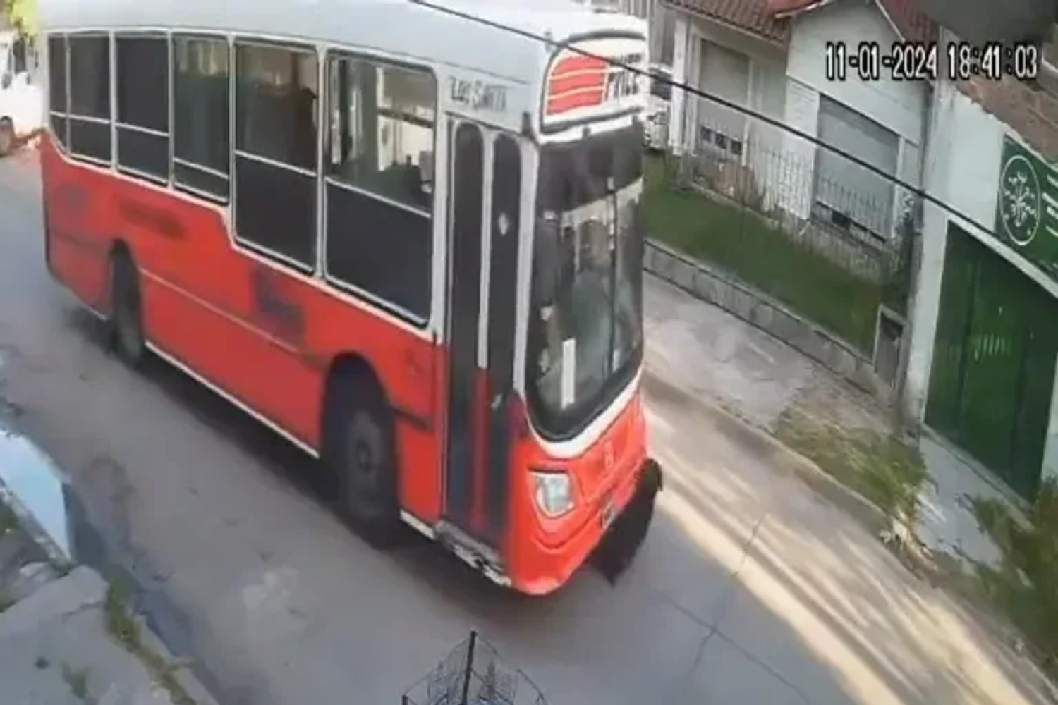 El colectivo en el instante que arroya al canino.