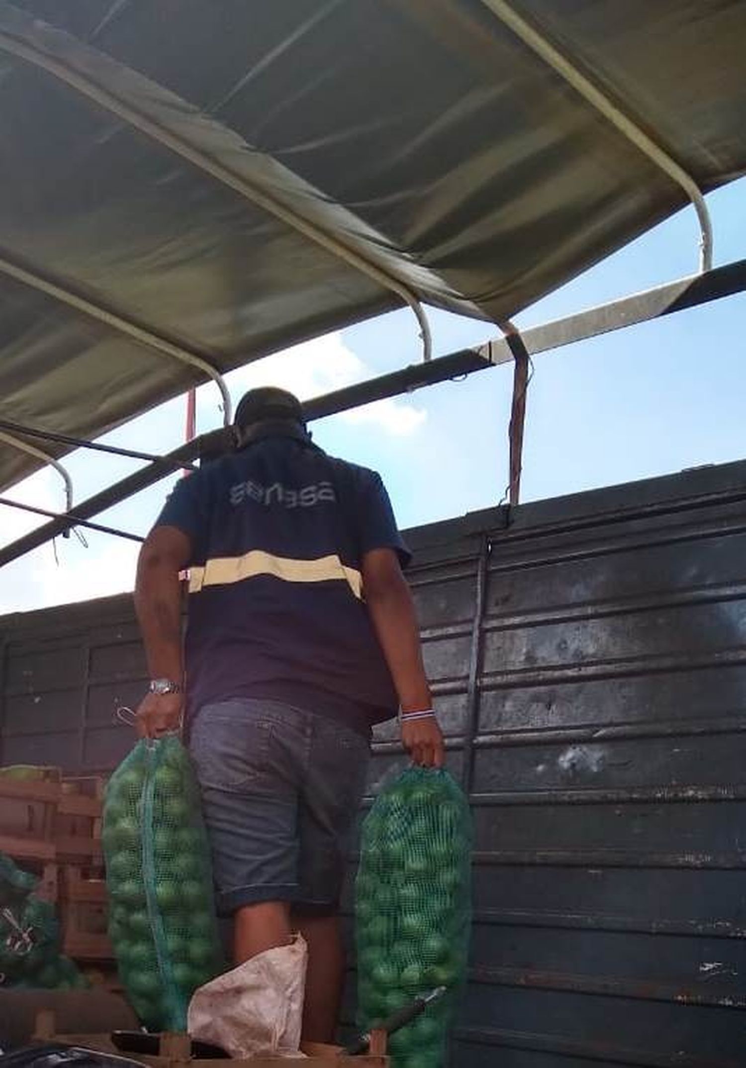 Incautaron 300kg de limones por falta de documentación 