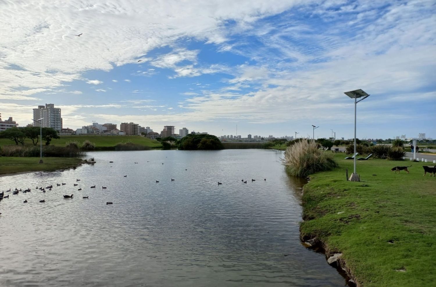Punta Mogotes contará con una serie de propuestas para disfrutar el fin de semana largo