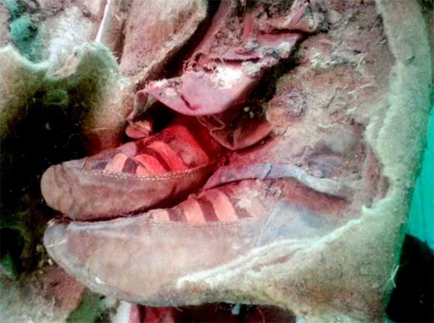 ¿Viajero en el tiempo?: encontraron una momia usando zapatillas Adidas