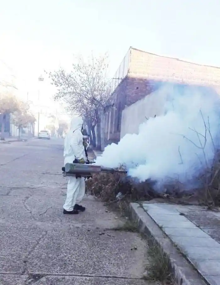 Intensos operativos de fumigación y desinfección en distintos barrios ...