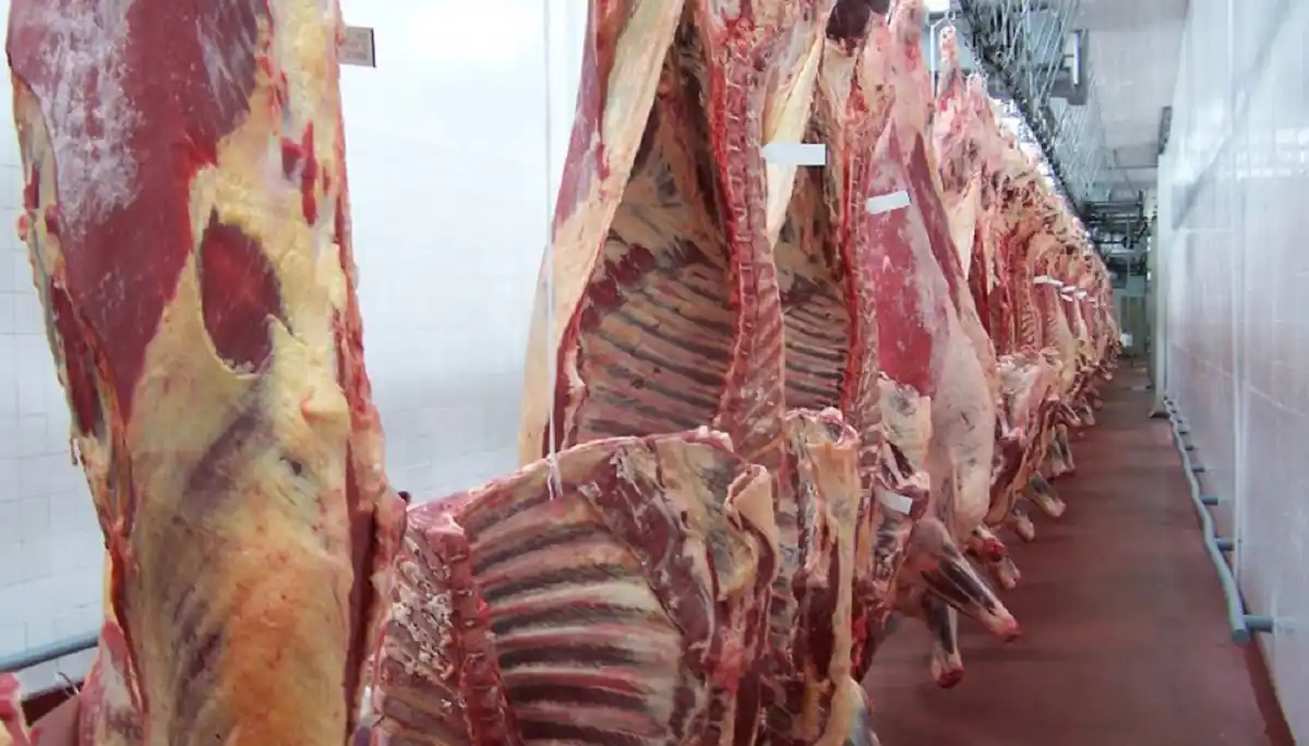 Las exportaciones de carne sufrieron una caída en volumen y en precios
