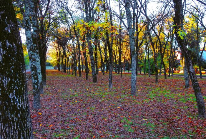 El pueblo que dejó de ser industrial para convertirse en un destino manso y natural