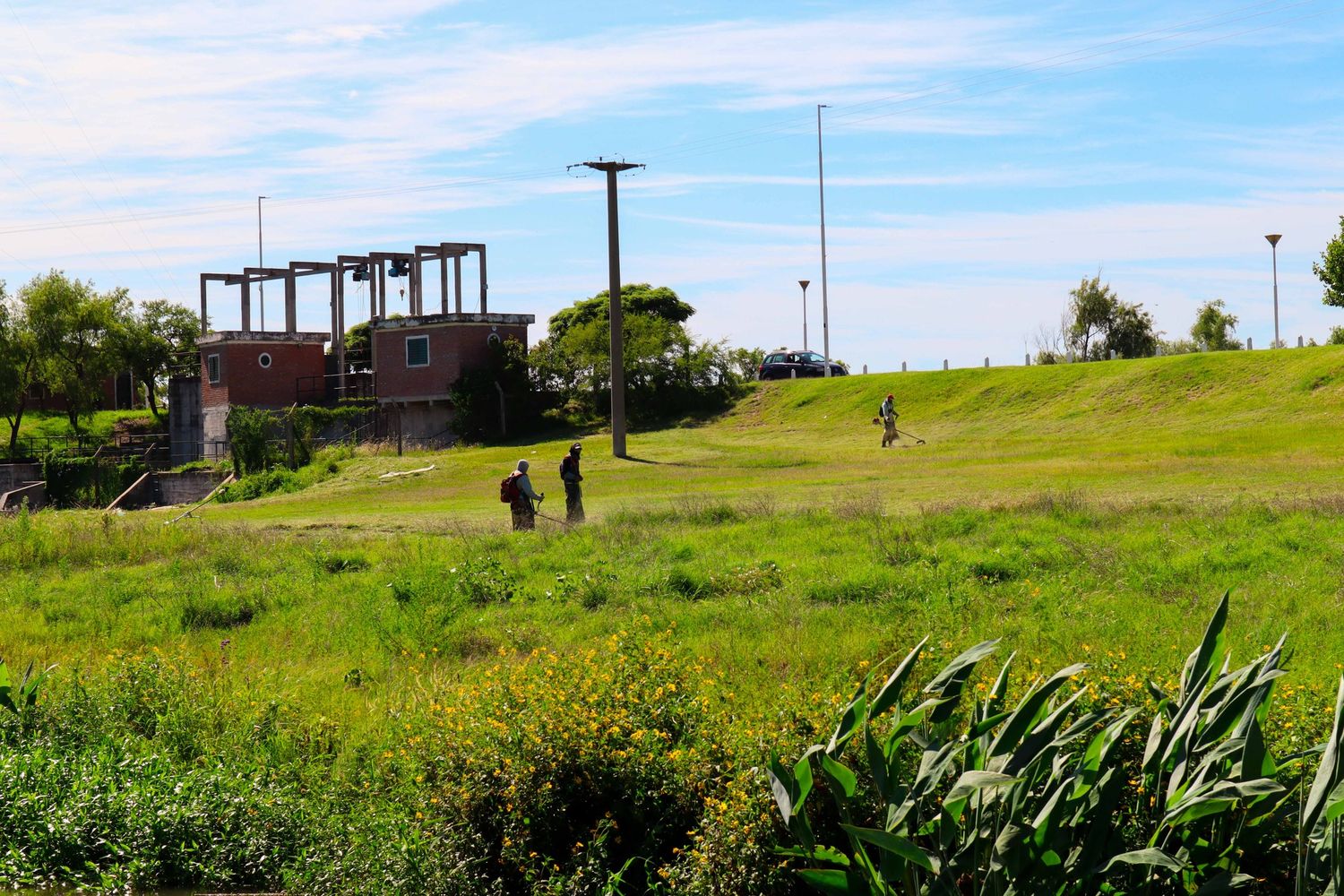 Cortaron el pasto en costanera para fumigar