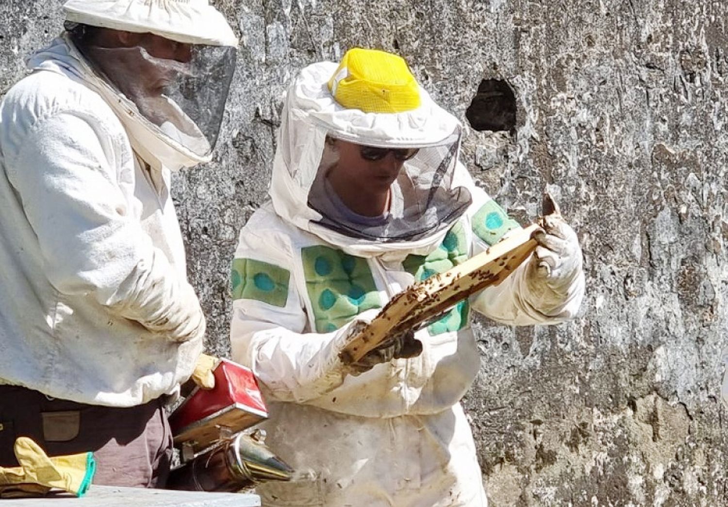 Apicultores entrerrianos recibirán una asistencia variable de entre 500 y 1.500 pesos por colmena