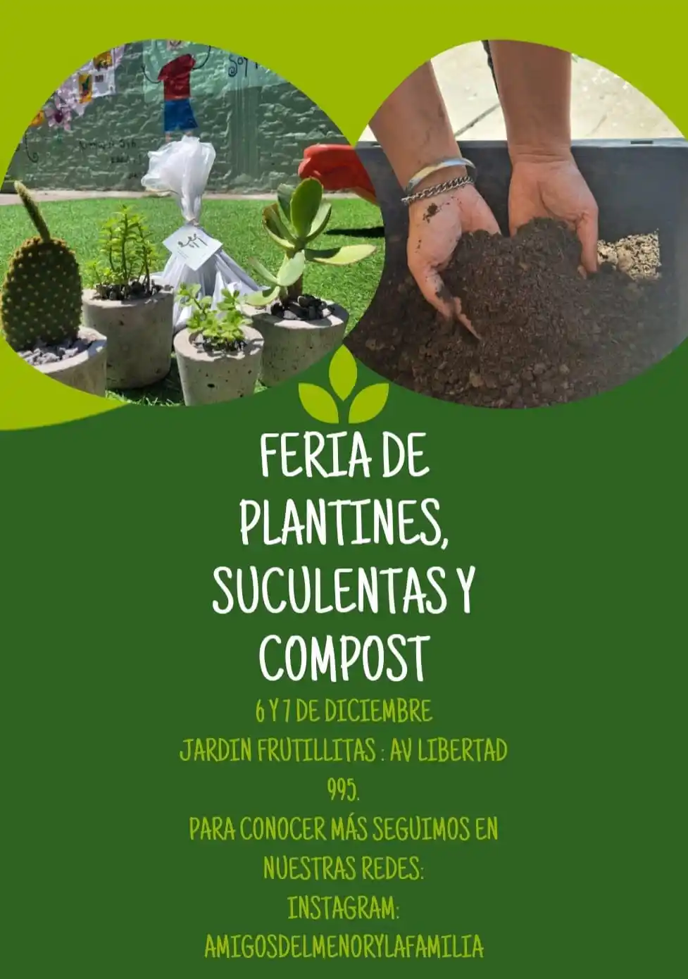 Realizarán una feria de plantines en el jardín Frutillitas
