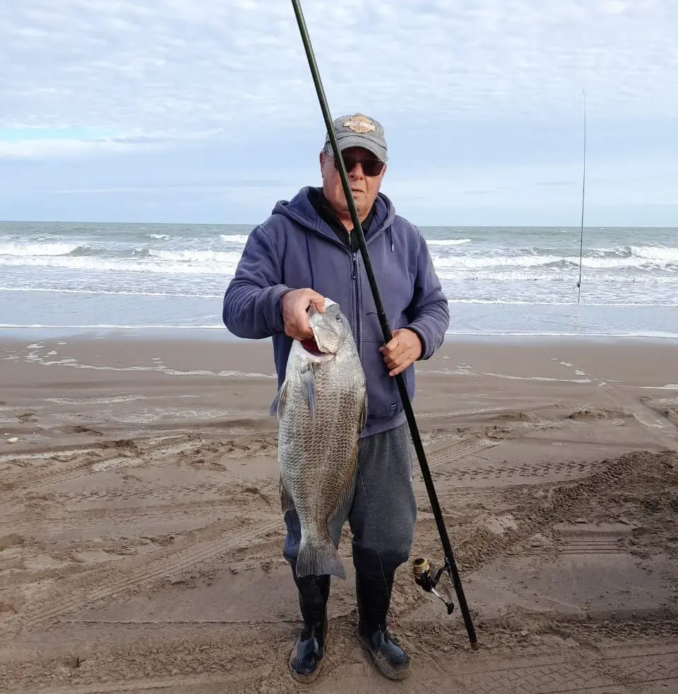 Salió una corvina negra de 6 kilos en Marisol