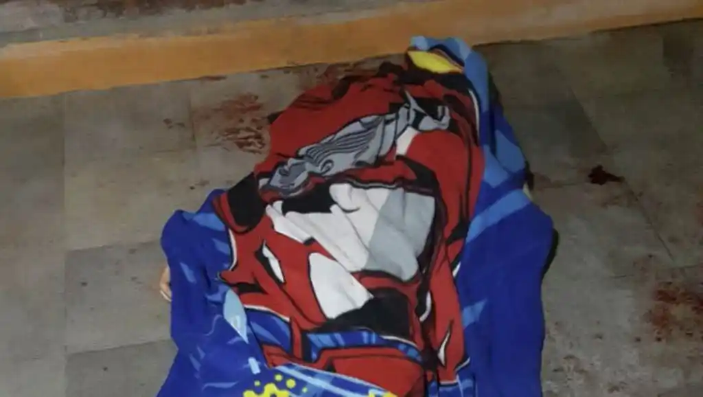 Un chico de 13 años mató a balazos a un delincuente en Moreno