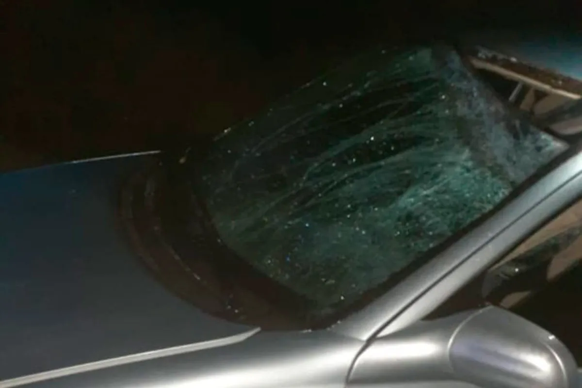 Accidente fatal