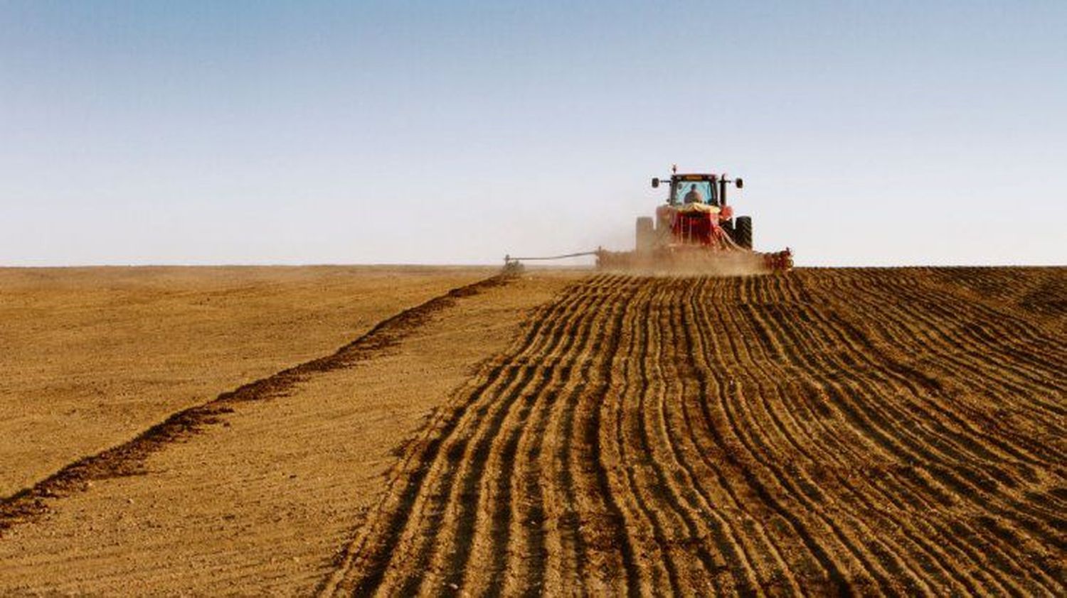 Agosto se encamina a ser récord en ingreso de divisas del agro