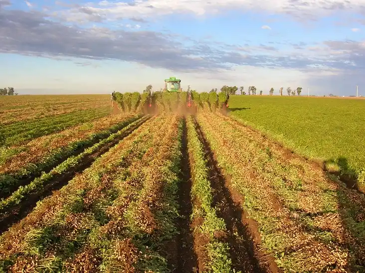 Productores esperan que Valiero les responda sobre una moratoria
