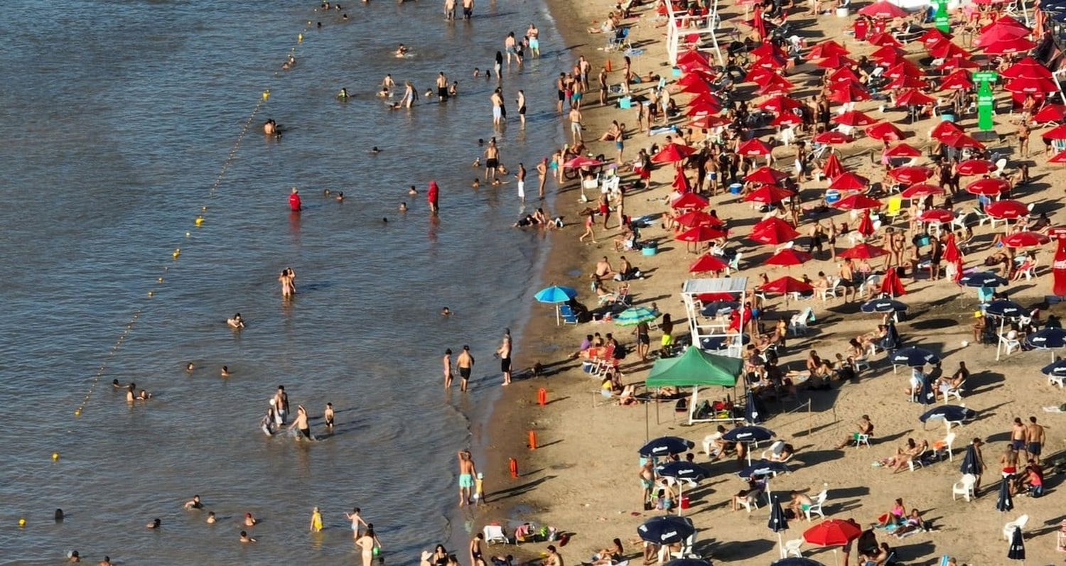 Podrían implementar la "bandera roja" en una playa santafesina por mordeduras de palometas