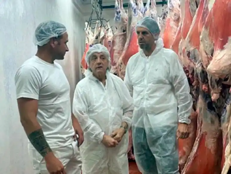 Gran paso para la exportación de carne ovina