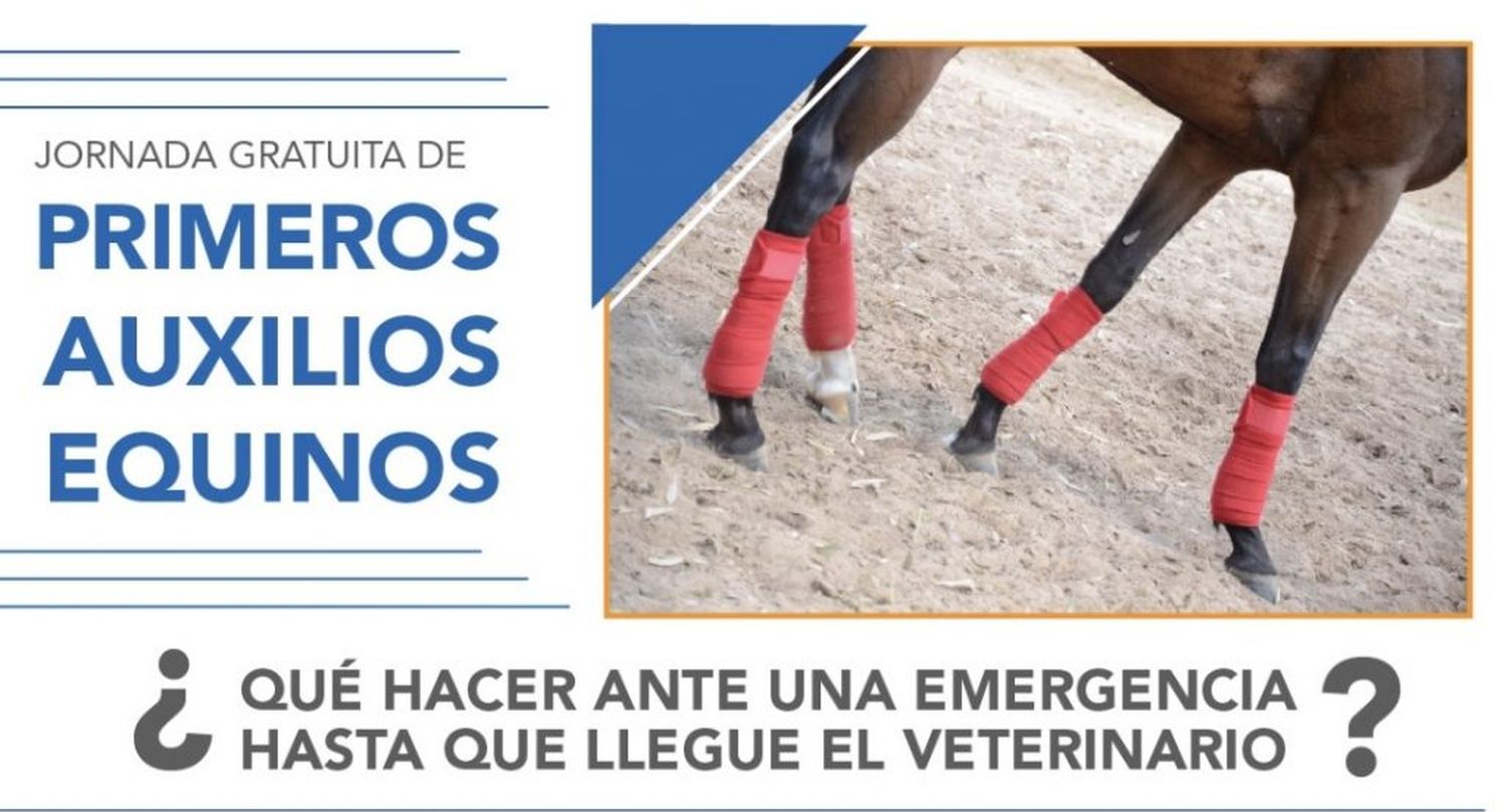 La UTTA realizará una jornada de capacitación en primeros auxilios equinos