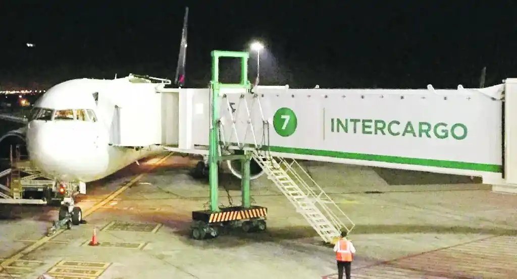 El gobierno oficializó la privatización total de Intercargo