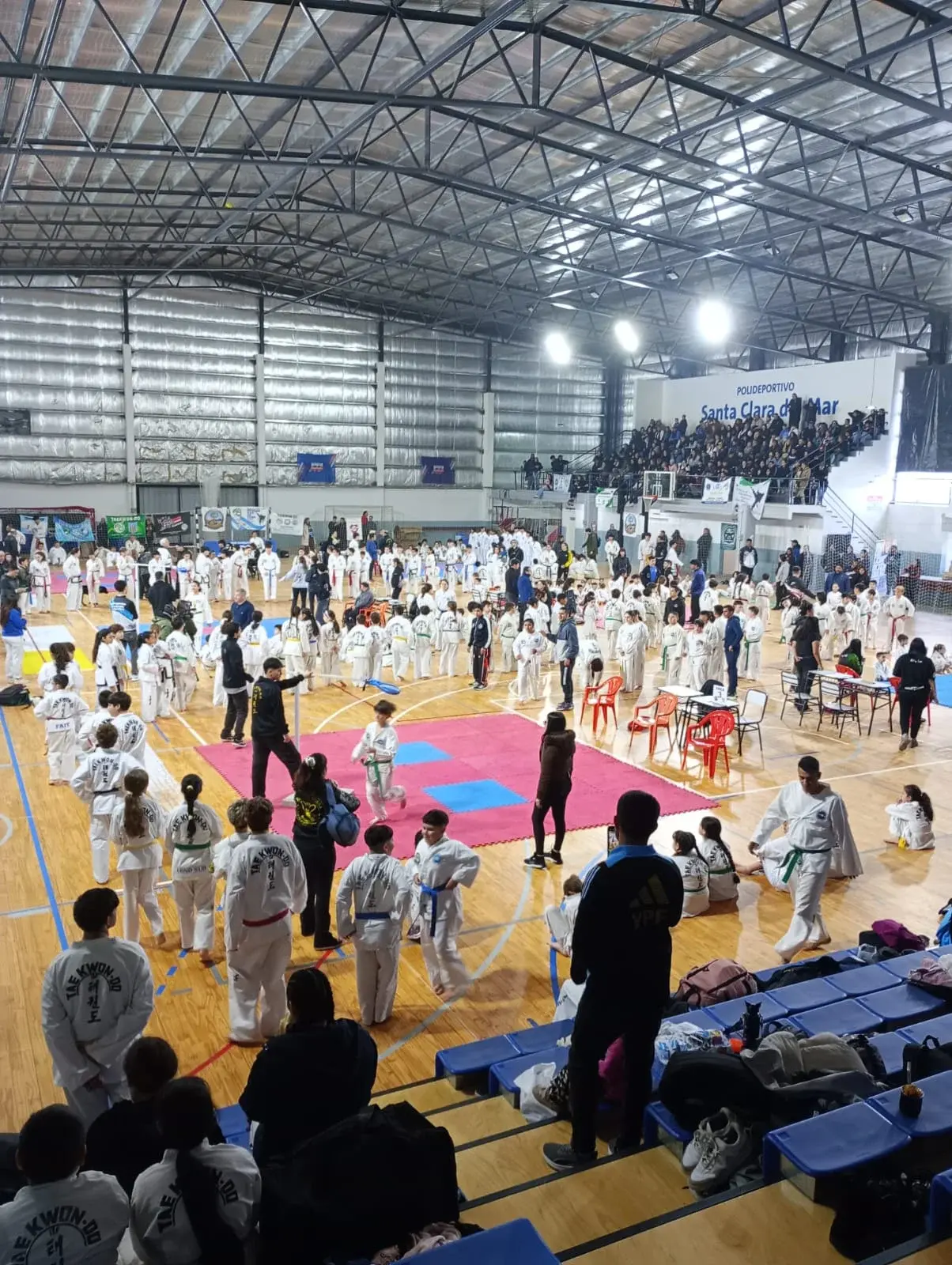 Destacada cosecha de medallas para la delegación regional en el torneo “Bosque y Mar”