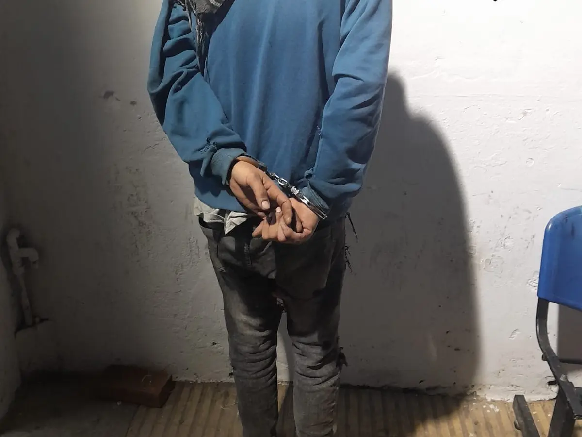 Detenido en zona norte.