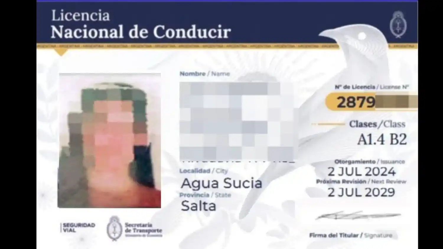 La licencia que se aprecia en la aplicación Mi Argentina indica que muchos sampedrinos la obtuvieron en Agua Sucia, Salta.