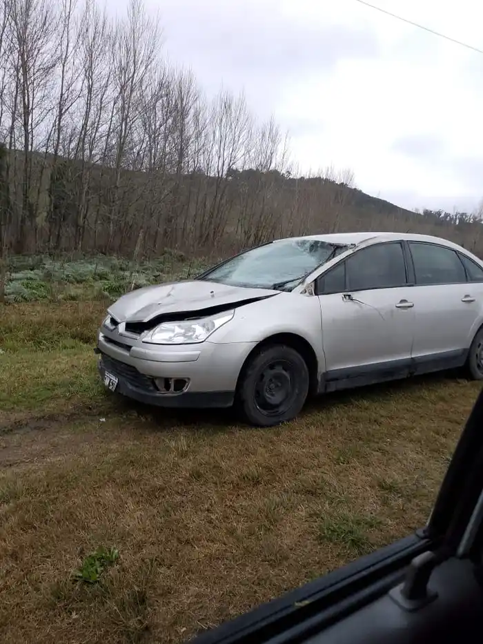 Un caballo suelto en la vía pública provocó un accidente en avenida Estrada