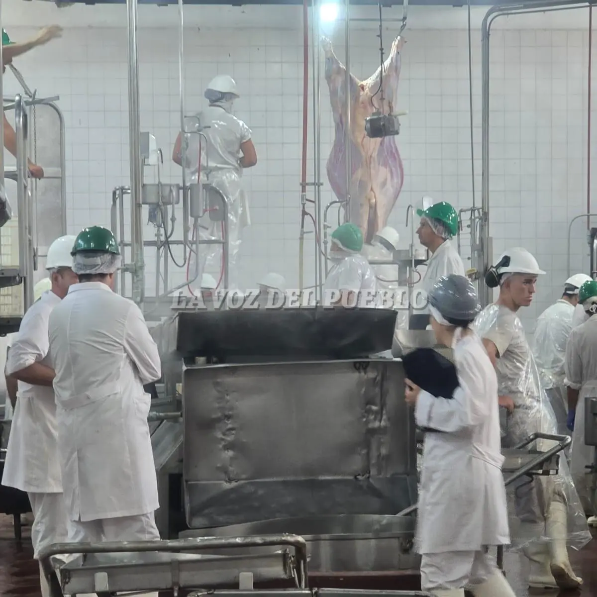 El lunes 23 de febrero se reiniciaron las tareas de faena bovina