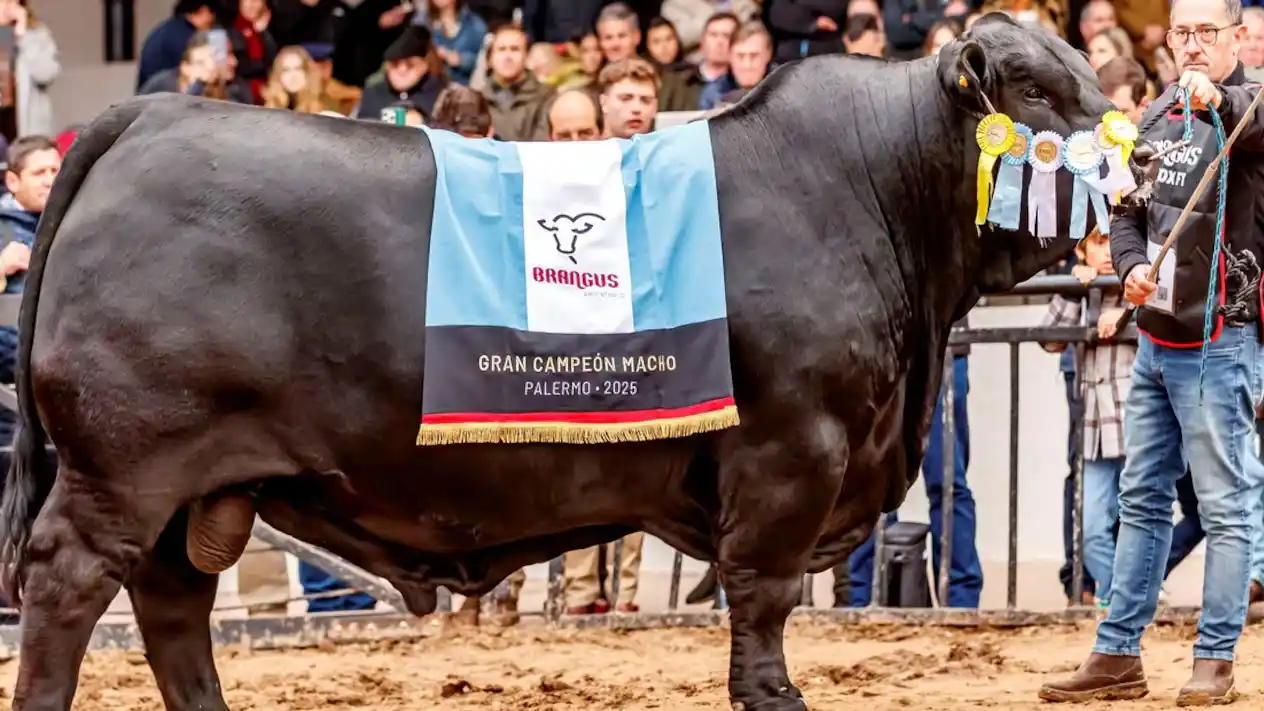 Morocho llevó a la ganadería argentina a la cima mundial.