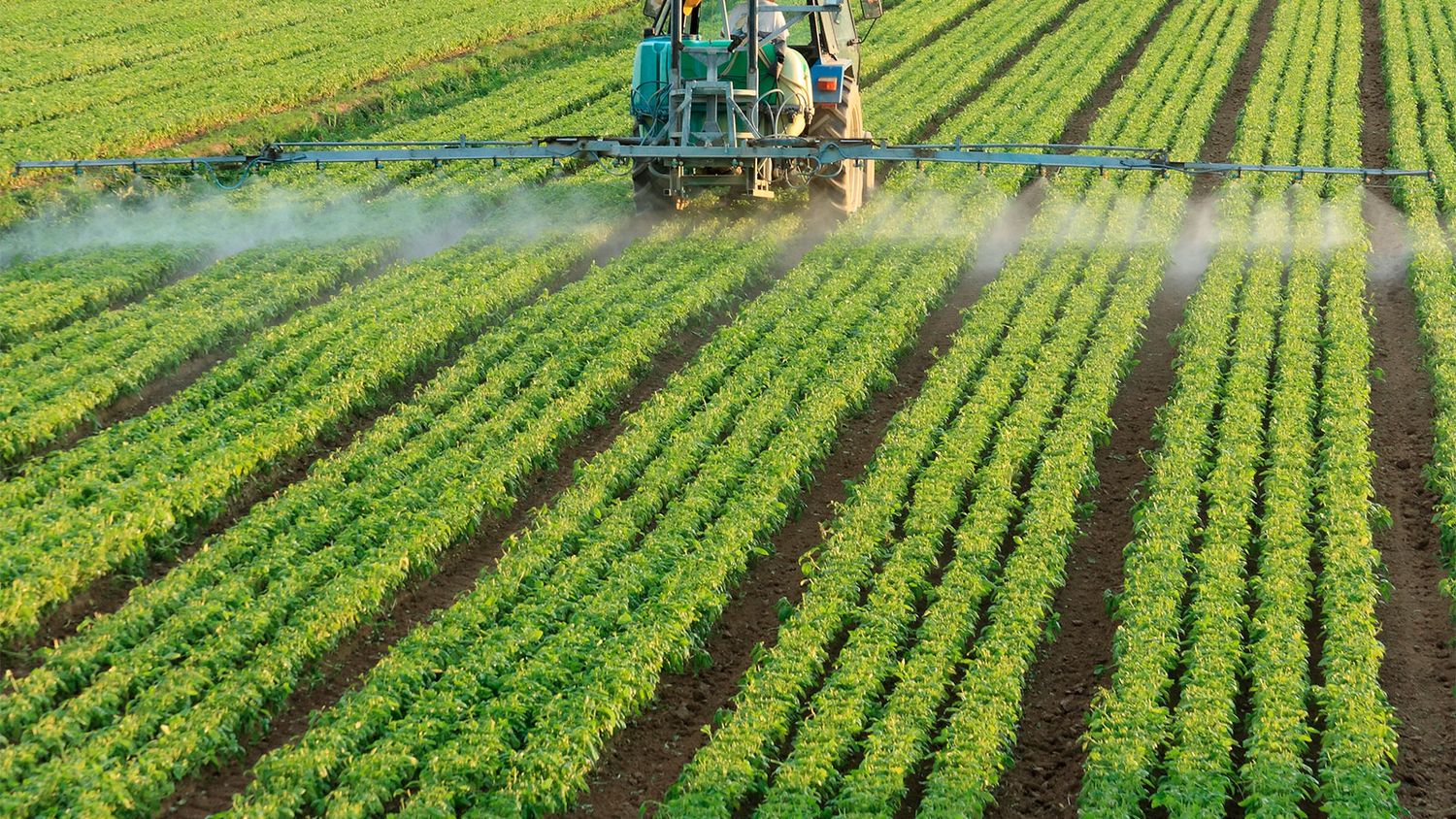 Ambientalistas fueron al Senado y criticaron el proyecto que regula los agroquímicos: “Las buenas prácticas no existen”