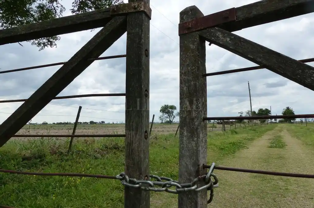 Mercado inmobiliario rural: la brecha cambiaria y el “impuesto a las grandes fortunas” impactan negativamente en el sector