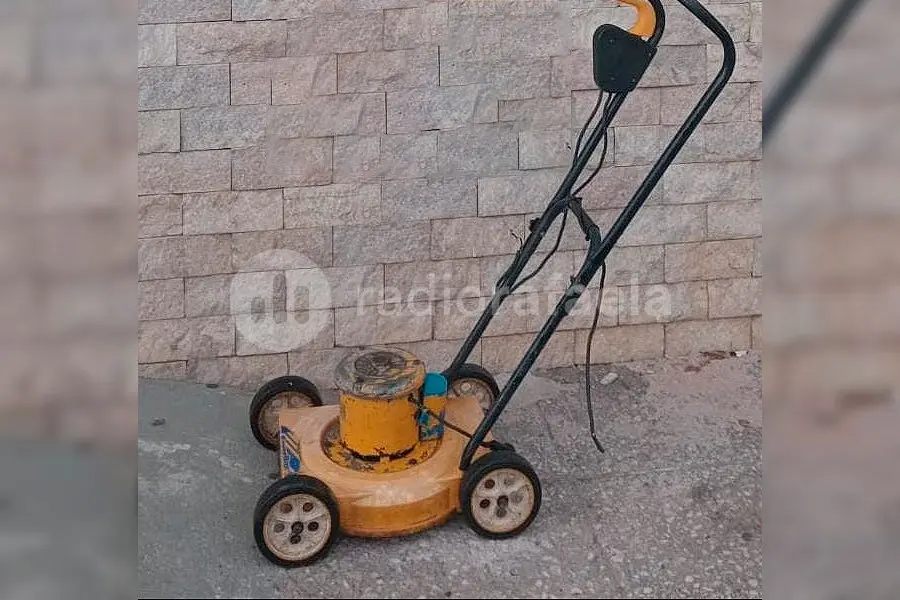 Fue a buscar la máquina de cortar césped para usarla y ya no estaba más: la encontró en Marketplace de Facebook