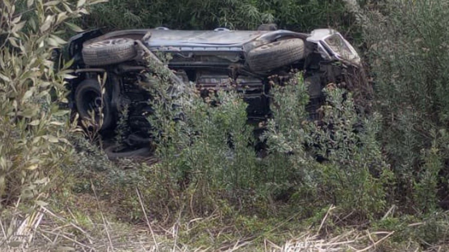 accidente pulga