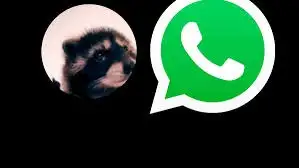Esta tendencia se popularizó especialmente entre usuarios que disfrutan de los memes y de personalizar sus aplicaciones con elementos visuales originales.